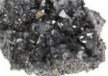 Sphalerite Crystal Cluster with Quartz - Bulgaria #41744-2